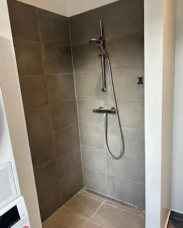 11f 2 Tv Hojbanetorvet